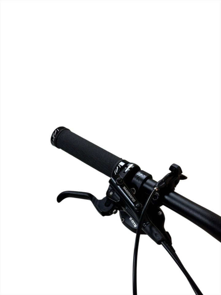 Axess Element 29 inch E-Mountainbike Refurbished Gebruikte fiets