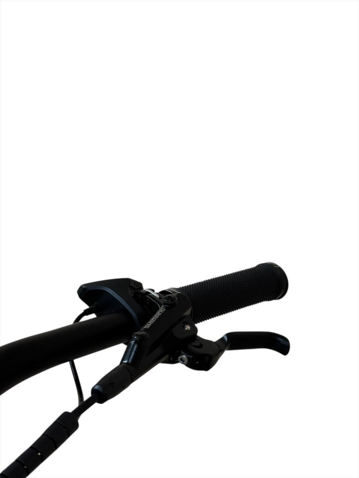 Axess Element 29 inch E-Mountainbike Refurbished Gebruikte fiets