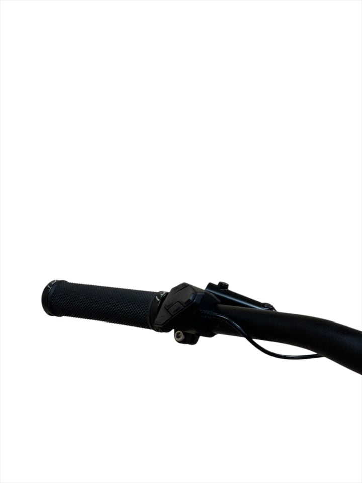 Axess Element 29 inch E-Mountainbike Refurbished Gebruikte fiets