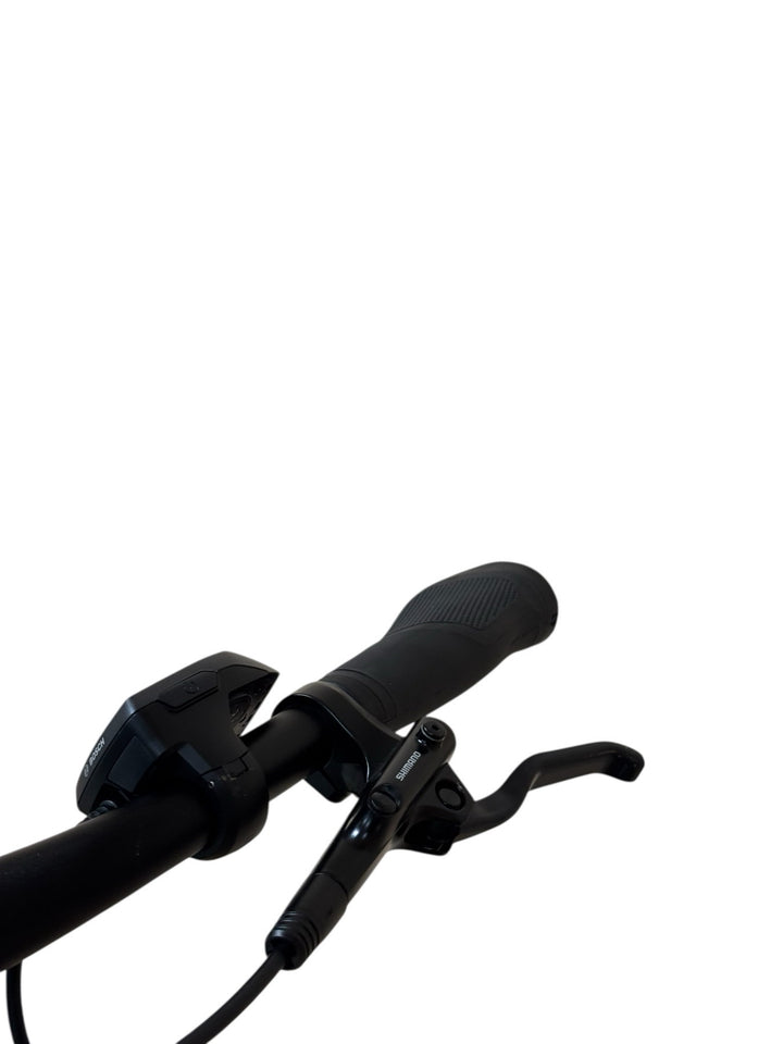 Bergamont E-Horizon Edition Amsterdam E-Bike Refurbished Gebruikte fiets