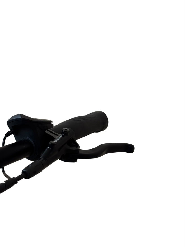 Bergamont E-Horizon Expert Gent E-Bike Refurbished Gebruikte fiets 