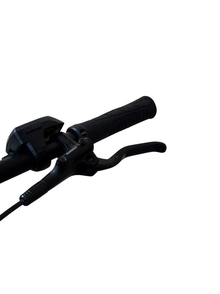 Bergamont E-Revox Pro EQ 29 inch E-Mountainbike Refurbished Gebruikte fiets 