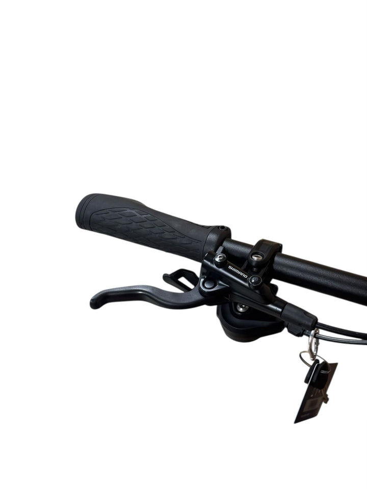 Bulls E-Stream EVO 1 29 inch E-MountainbikeRefurbished Gebruikte fiets 