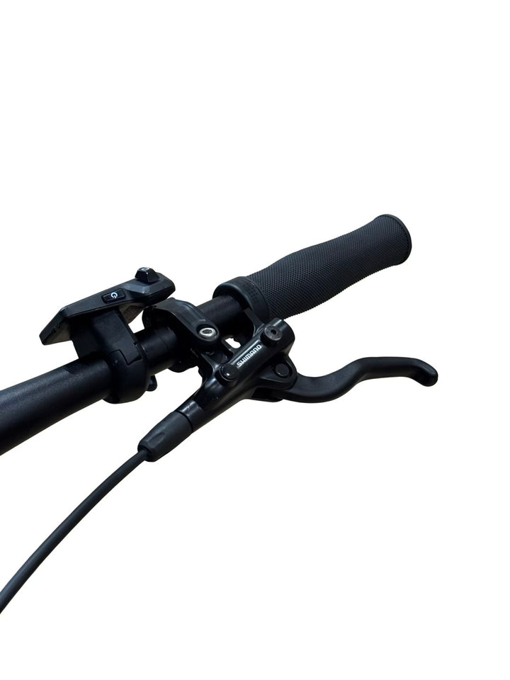 Bulls E-Stream EVO 1 29 inch E-Mountainbike Refurbished Gebruikte fiets 