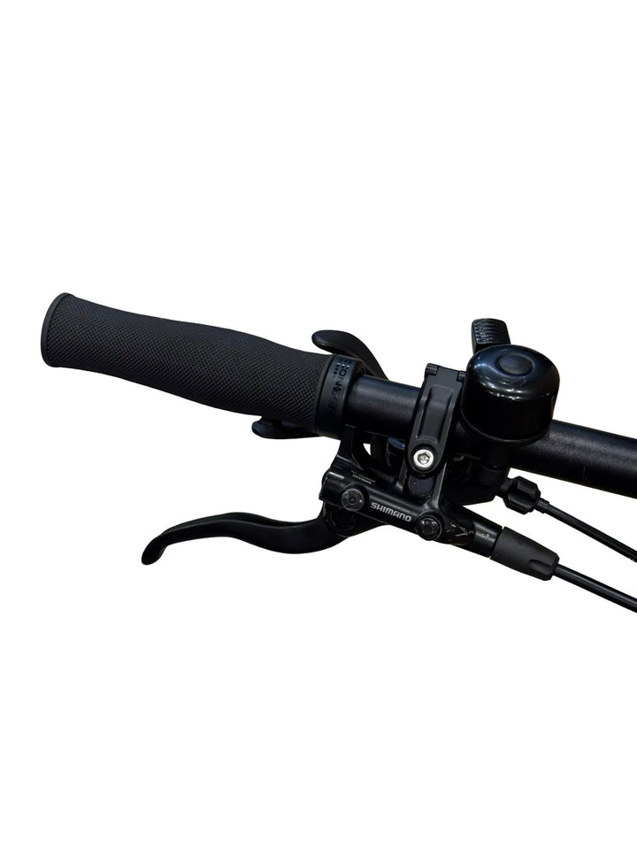 Bulls E-Stream EVO 1 29 inch E-Mountainbike Refurbished Gebruikte fiets 