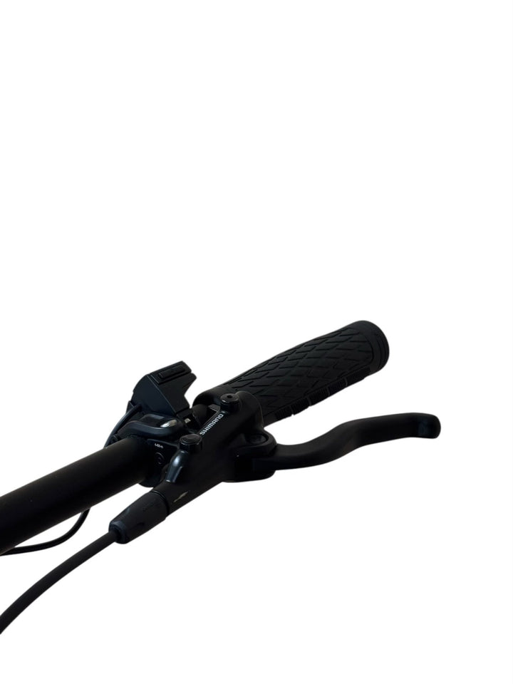 Bulls E-Stream EVO 1 29 inch E-MountainbikeRefurbished Gebruikte fiets 