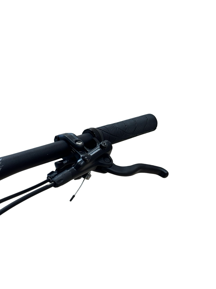 Bulls Wild Ronin 1 29 inch mountainbike Refurbished Gebruikte fiets 