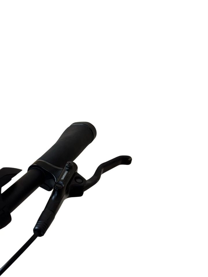 Carver E-Cityzen LTD RT 400 E-Bike Refurbished Gebruikte fiets