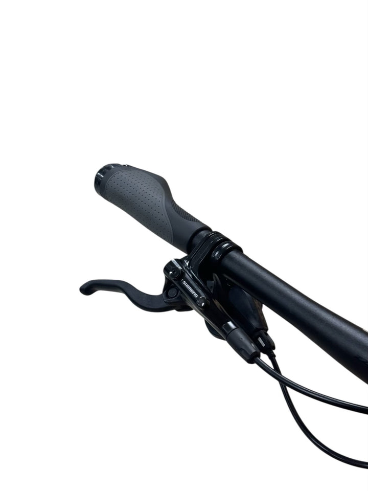 Corratec E-Power X-Vert Pro Team 29 inch E-Mountainbike