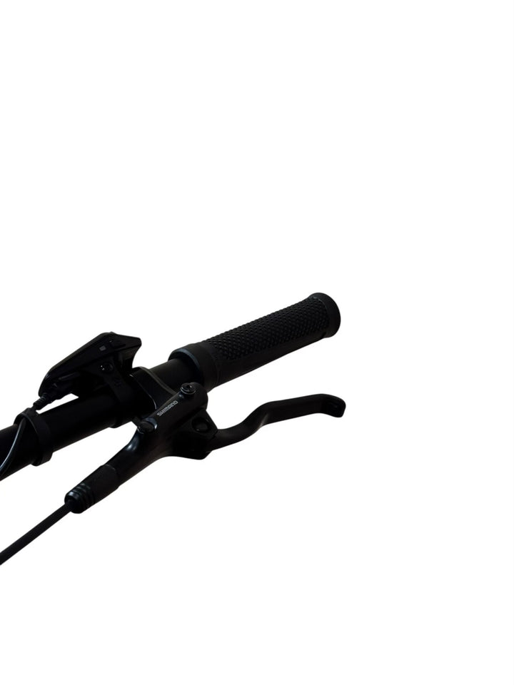 Cube Reaction Hybrid Performance 625 29 inch E-Mountainbike Refurbished Gebruikte fiets 