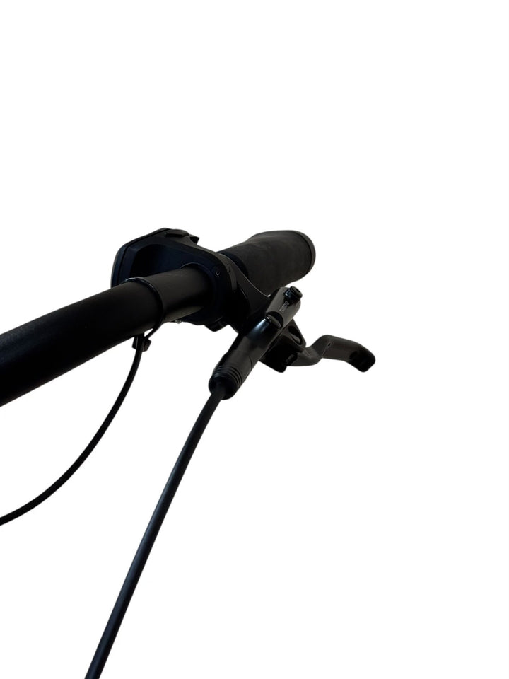 Diamant Beryll Deluxe+ E-Bike Refurbished Gebruikte fiets 