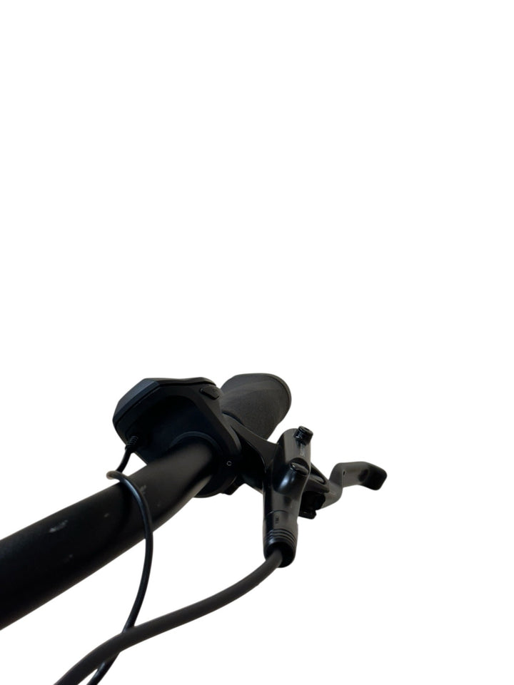 Diamant Beryll Deluxe+ E-Bike Refurbished Gebruikte fiets 