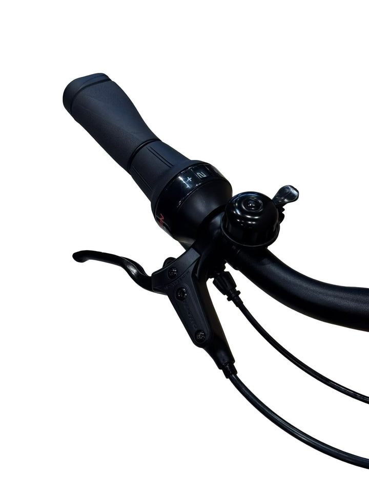Diamant Beryll Gen3 E-Bike Refurbished Gebruikte fiets 