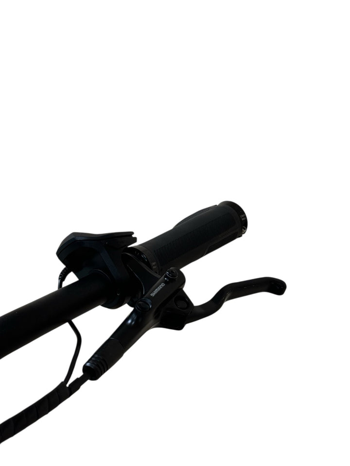 Diamant Mandara Deluxe+ E-Bike Refurbished Gebruikte fiets 