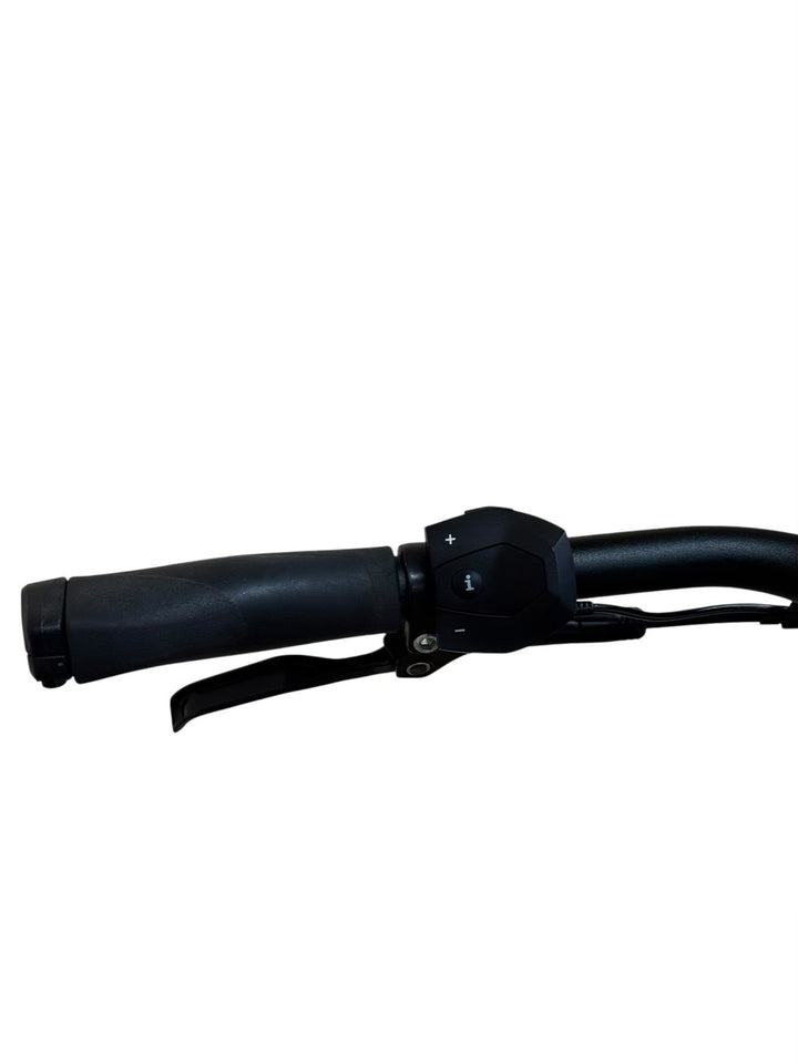 Diamant Mandara Deluxe+ E-Bike Refurbished Gebruikte fiets 