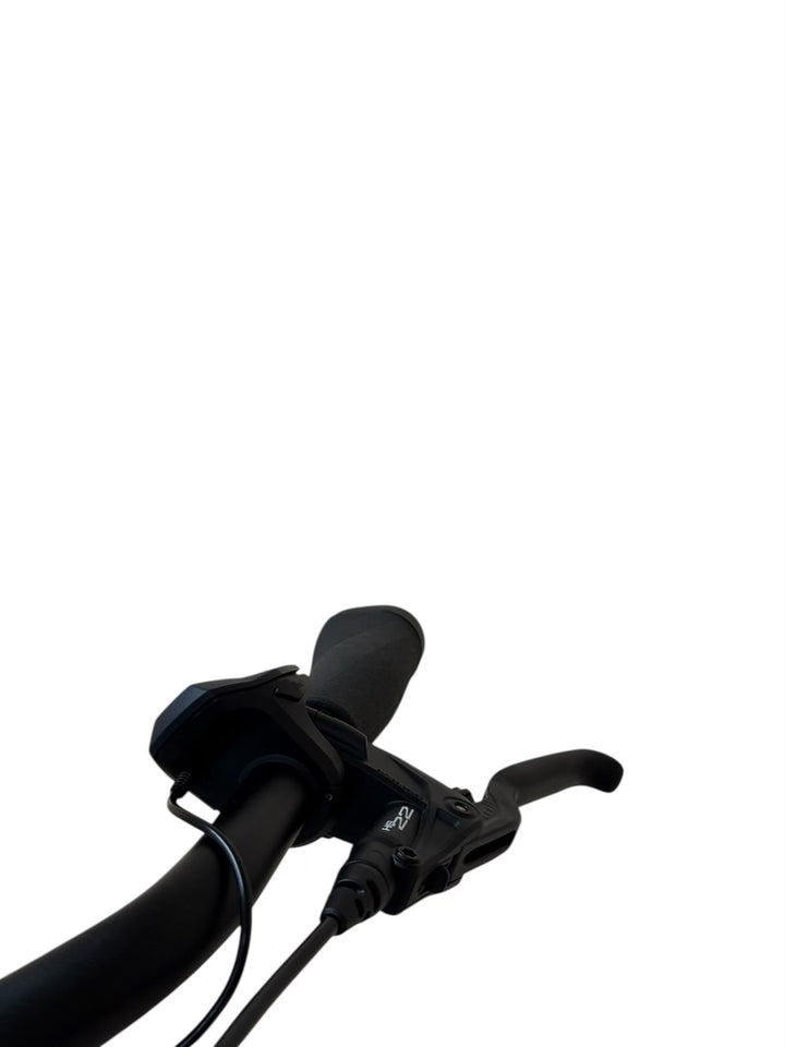 Diamant Onyx + RT E-Bike Refurbished Gebruikte fiets 