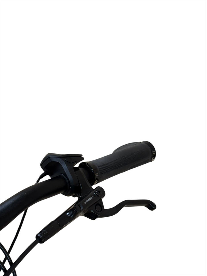 Diamant Opal Esprit+ E-Bike Refurbished Gebruikte fiets