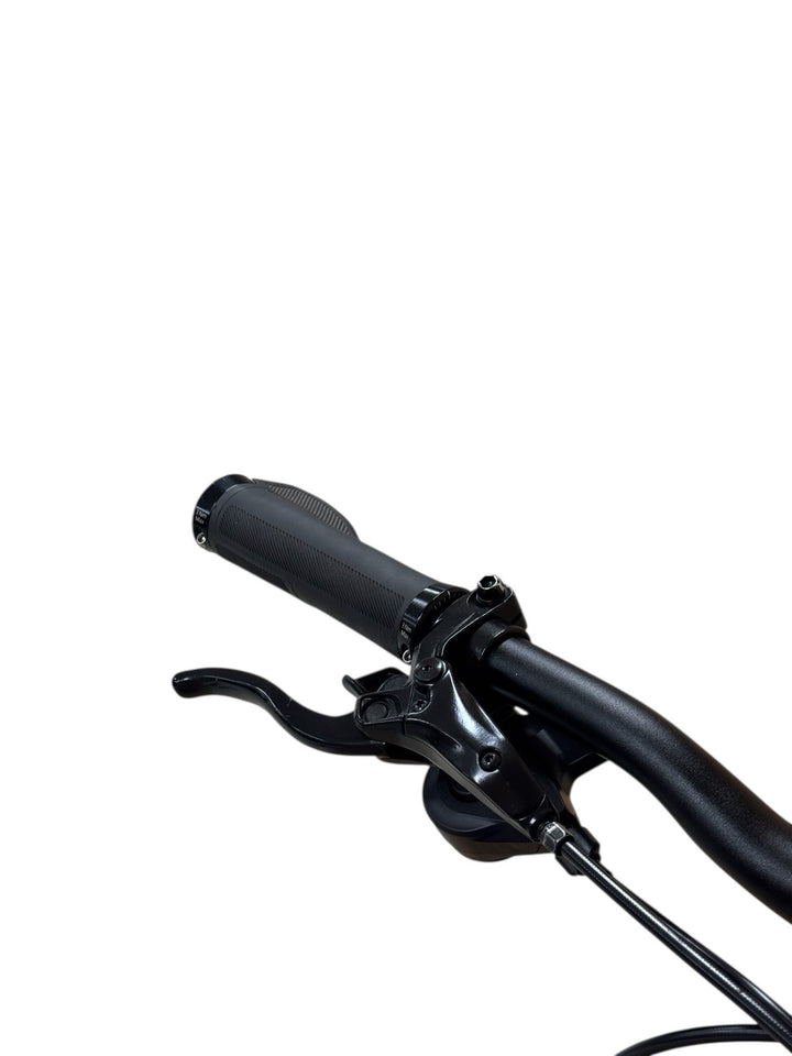 Diamant Zing Deluxe+ E-Bike Refurbished Gebruikte fiets 