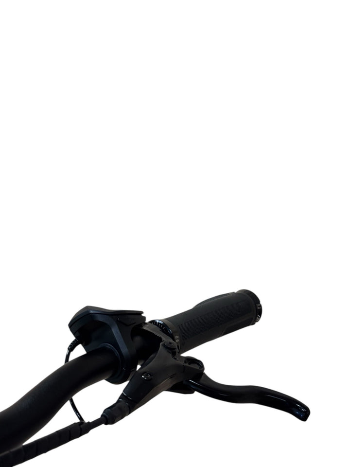 Diamant Zing Deluxe+ E-Bike Refurbished Gebruikte fiets 