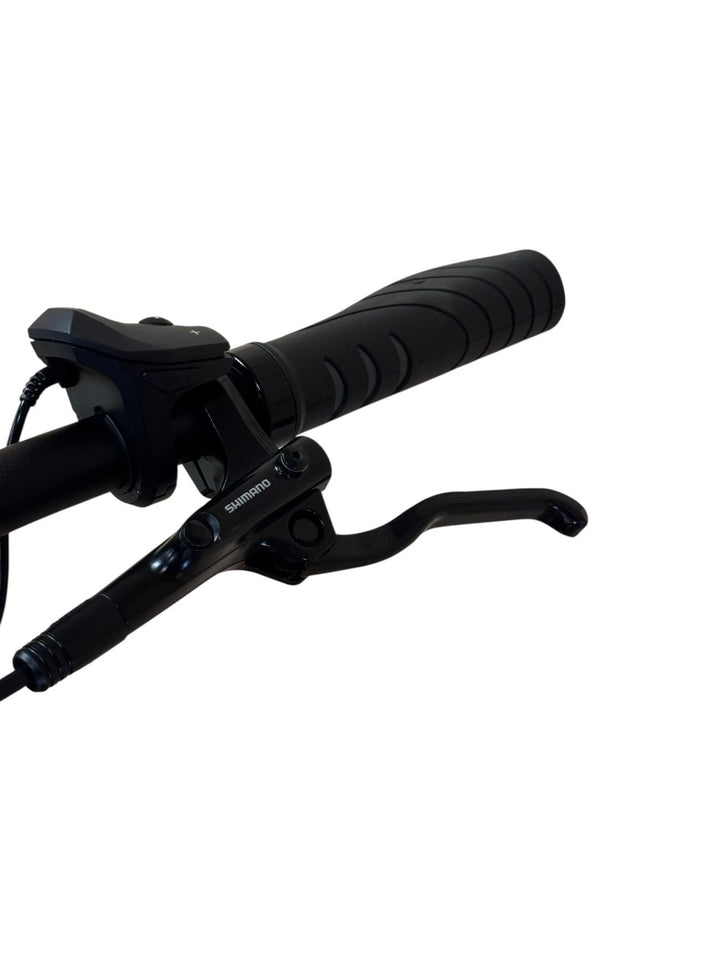 Diamant Zouma Deluxe + E-Bike Refurbished Gebruikte fiets 