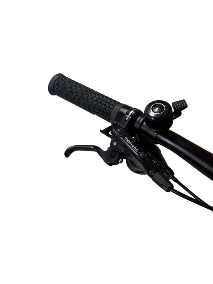 Flyer Goroc2 4.30 29 inch E-Mountainbike  Refurbished Gebruikte fiets 