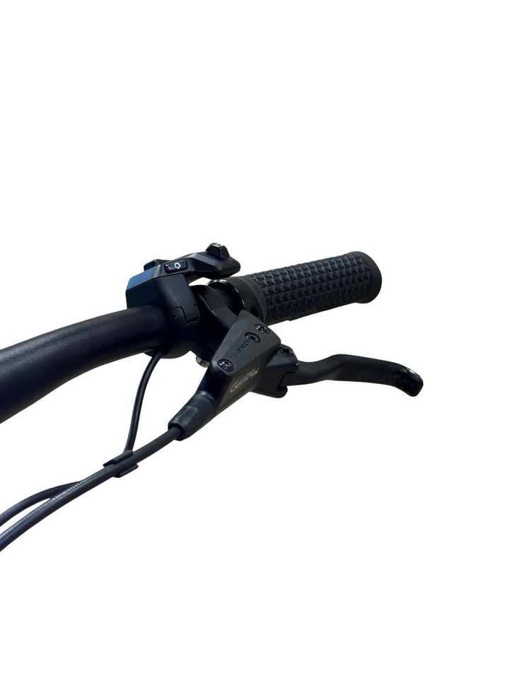 Flyer Goroc X 2.10 29 inch E-Mountainbike Refurbished Gebruikte fiets