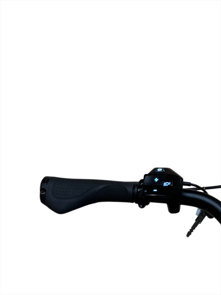 Flyer Gotour3 7.43 Comfort E-Bike Refurbished Gebruikte fiets