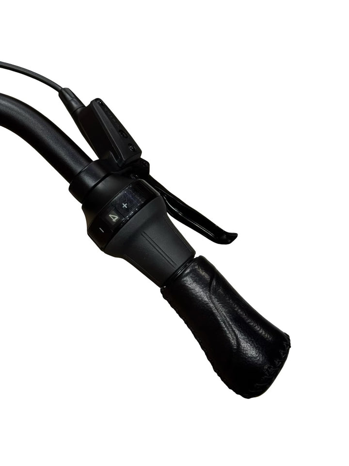 Gazelle Arroyo C5 Elite Belt E-Bike Refurbished Gebruikte fiets 