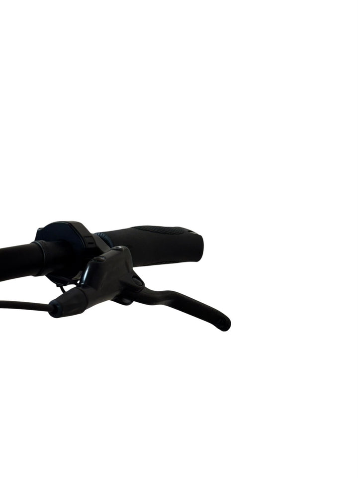 Gazelle Chamonix C5 HMS E-Bike Refurbished Gebruikte fiets 