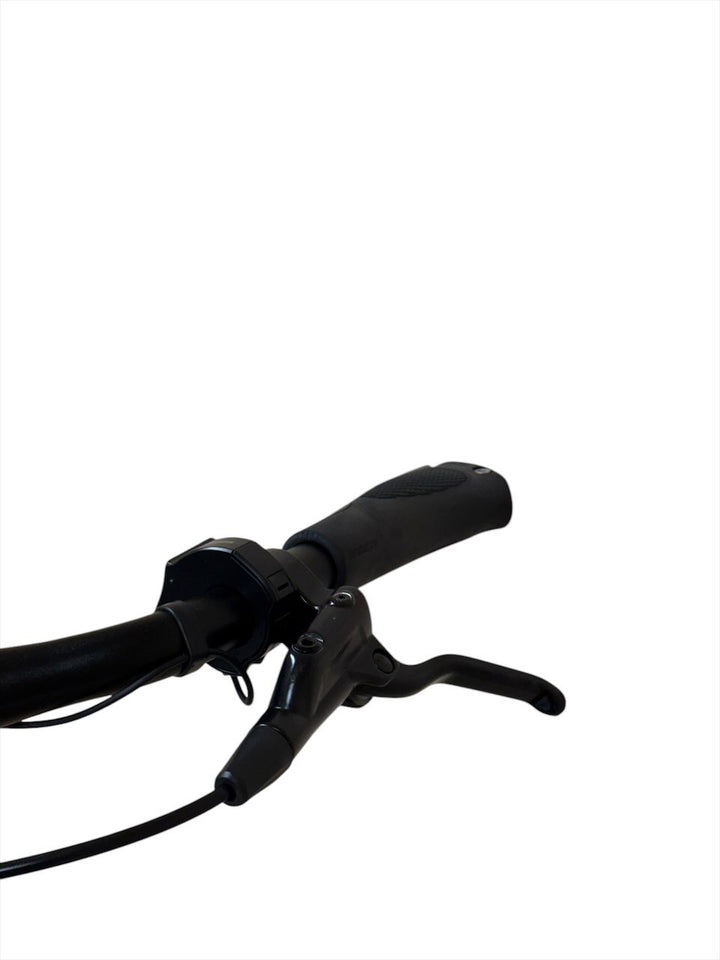 Gazelle Chamonix C5 HMS E-Bike Refurbished Gebruikte fiets