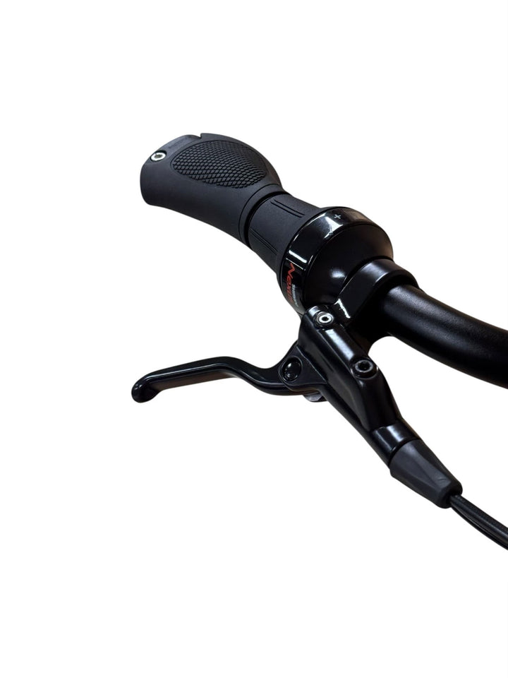 Gazelle Chamonix C5 HMS E-Bike Refurbished Gebruikte fiets 