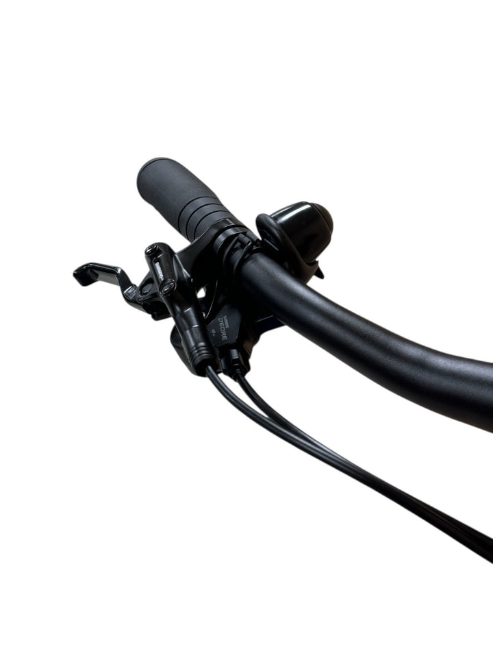 Gazelle Chamonix T10 HMS E-Bike Refurbished Gebruikte fiets