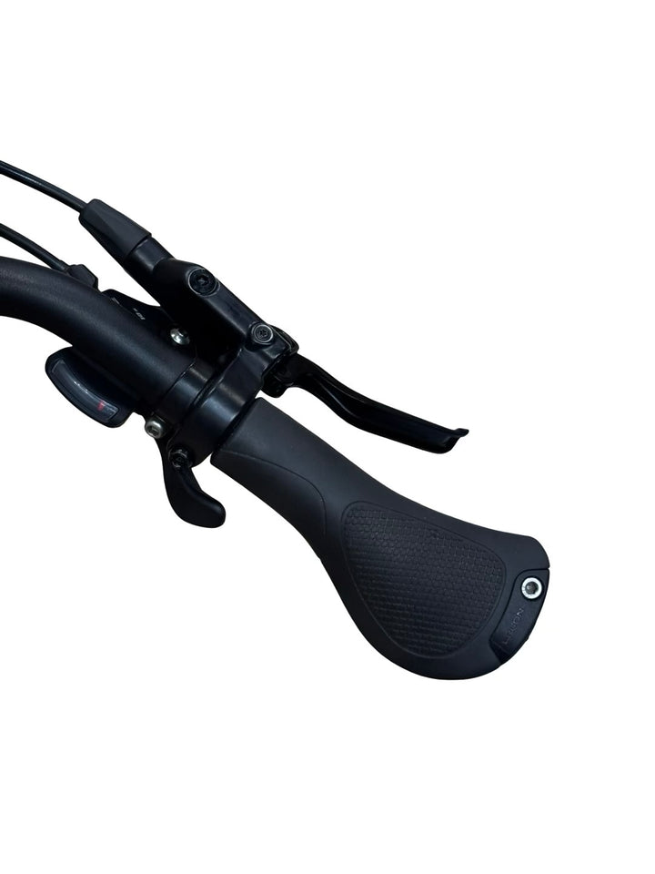 Gazelle Chamonix T10 HMS E-Bike Refurbished Gebruikte fiets 