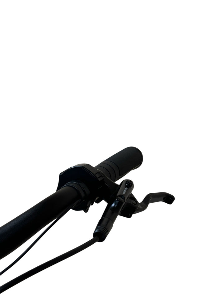 Gazelle Chamonix T10 HMS E-Bike Refurbished Gebruikte fiets