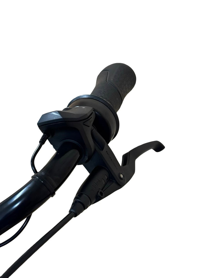 Gazelle Grenoble C7+ HMB Elite E-Bike Refurbished Gebruikte fiets