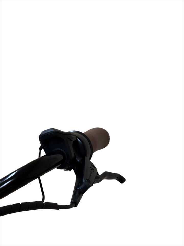 Gazelle Grenoble C8 HMB 28 inch E-Bike Refurbished Gebruikte fiets 