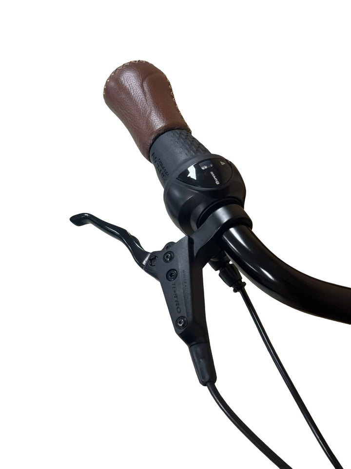 Gazelle Grenoble C8 HMB E-Bike Refurbished Gebruikte fiets 