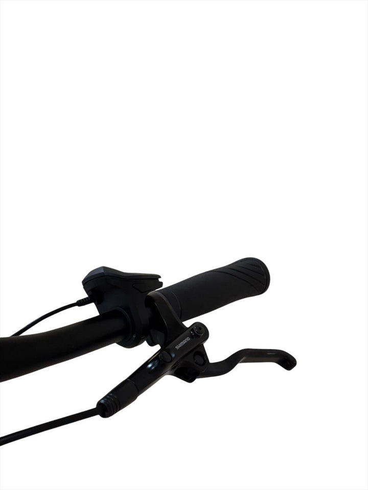 Gazelle Medeo T10 HMB 28 inch E-Bike Refurbished Gebruikte fiets 