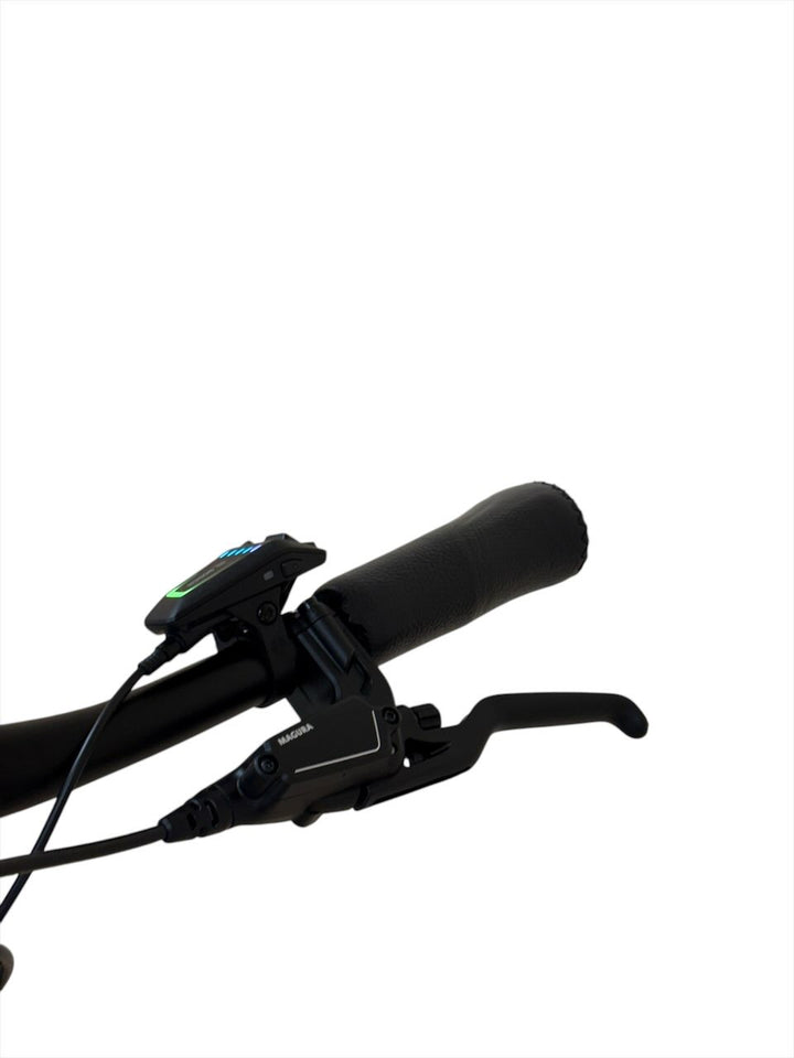 Gazelle Ultimate C5 Belt E-Bike Refurbished Gebruikte fiets