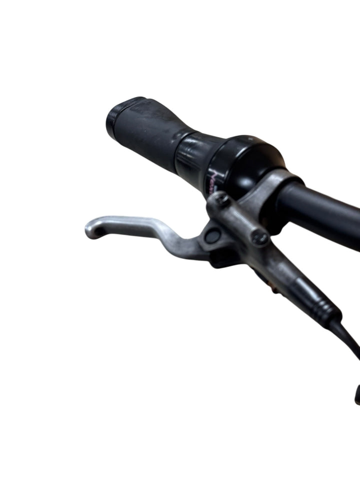 Giant Dailytour E+ 0 BD E-Bike Refurbished Gebruikte fiets