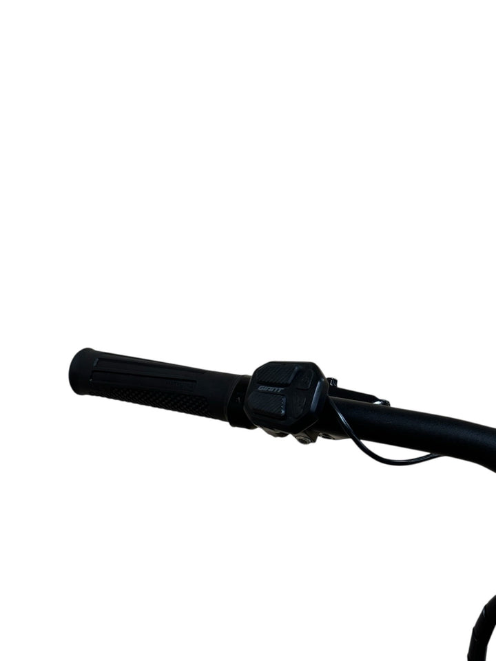 Giant Fathom E+2 29 inch E-Mountainbike Refurbished Gebruikte fiets 