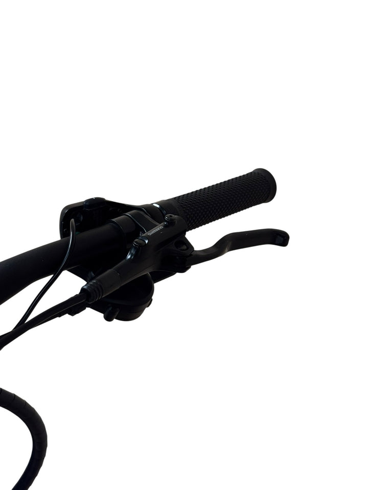 Giant Liv Amiti E+ 2 E-Bike Refurbished Gebruikte fiets 