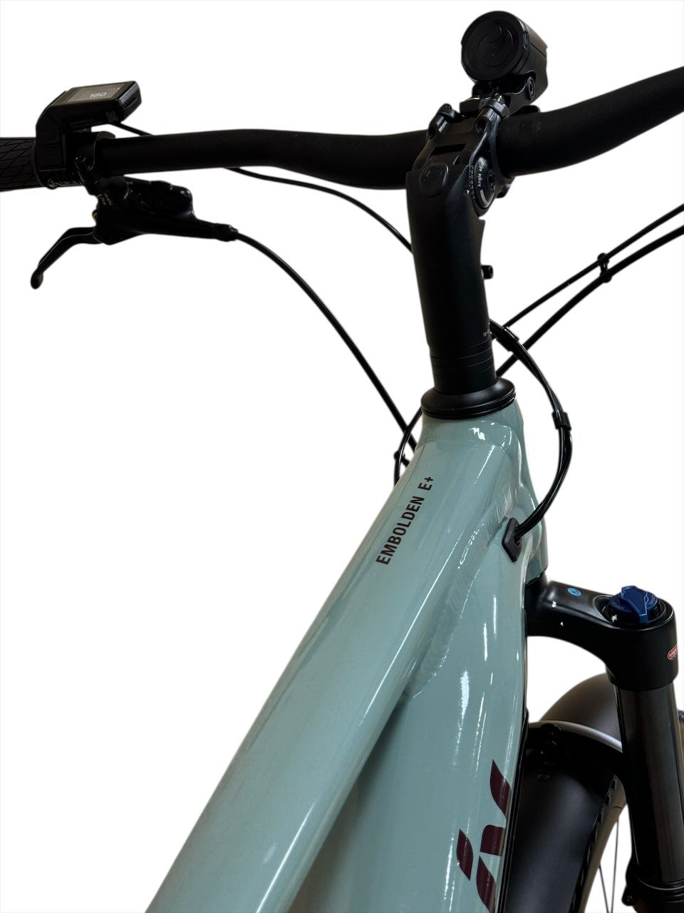 Giant Liv Embolden E+ EX 29 inch E-Mountainbike Refurbished Gebruikte fiets