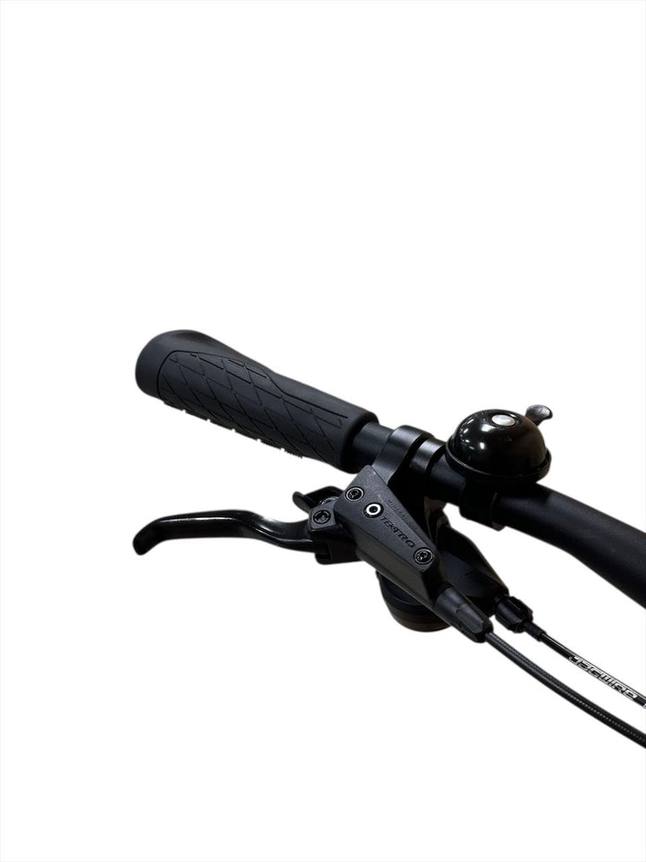 Giant Liv Vall-E +2 E-Mountainbike Refurbished Gebruikte fiets