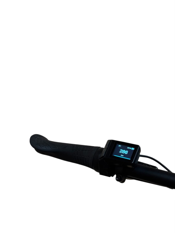 Giant Stance E+ EX 29 inch E-Mountainbike Refurbished Gebruikte fiets