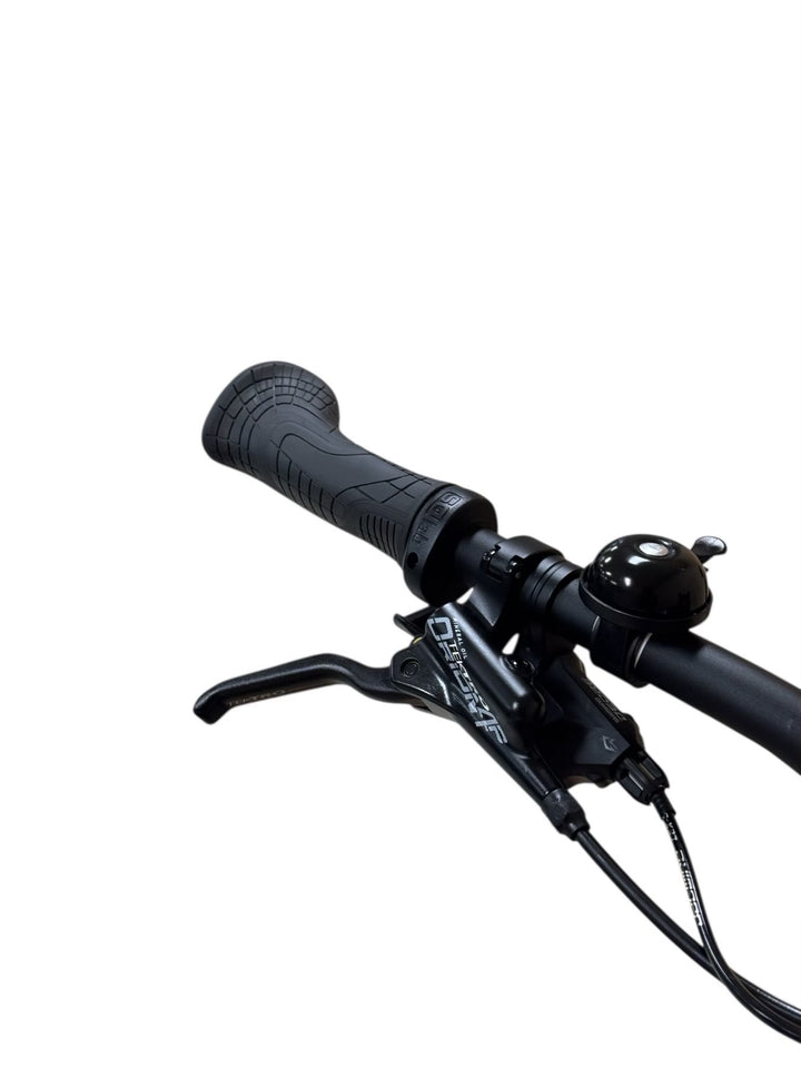 Giant Stance E+ EX 29 inch E-Mountainbike Refurbished Gebruikte fiets