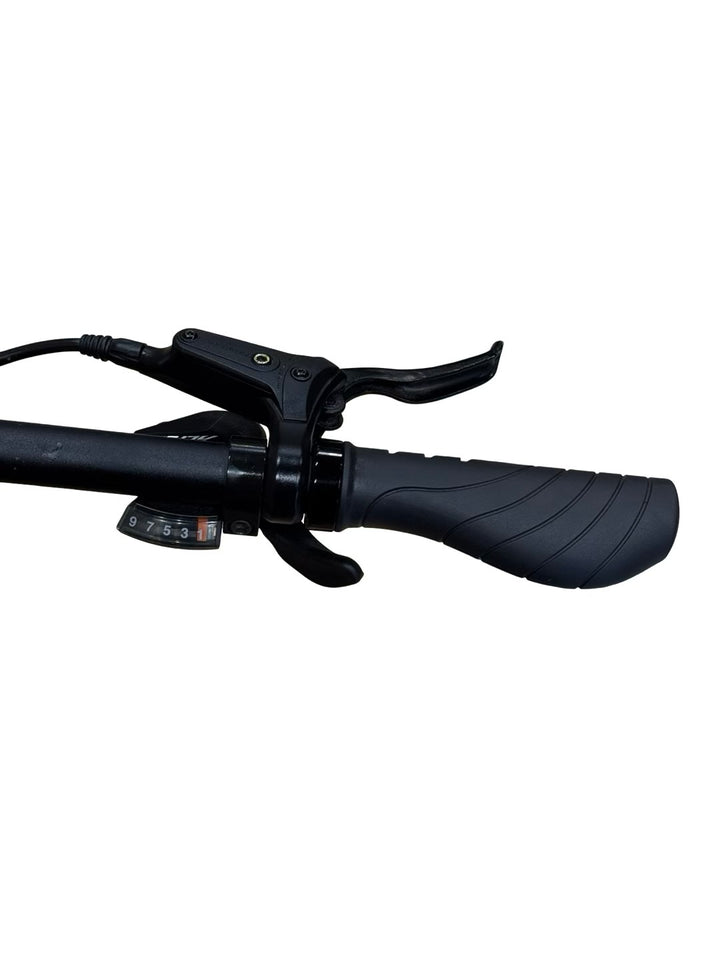 Giant Talon E+ EX 29 inch E-Mountainbike Refurbished Gebruikte fiets 