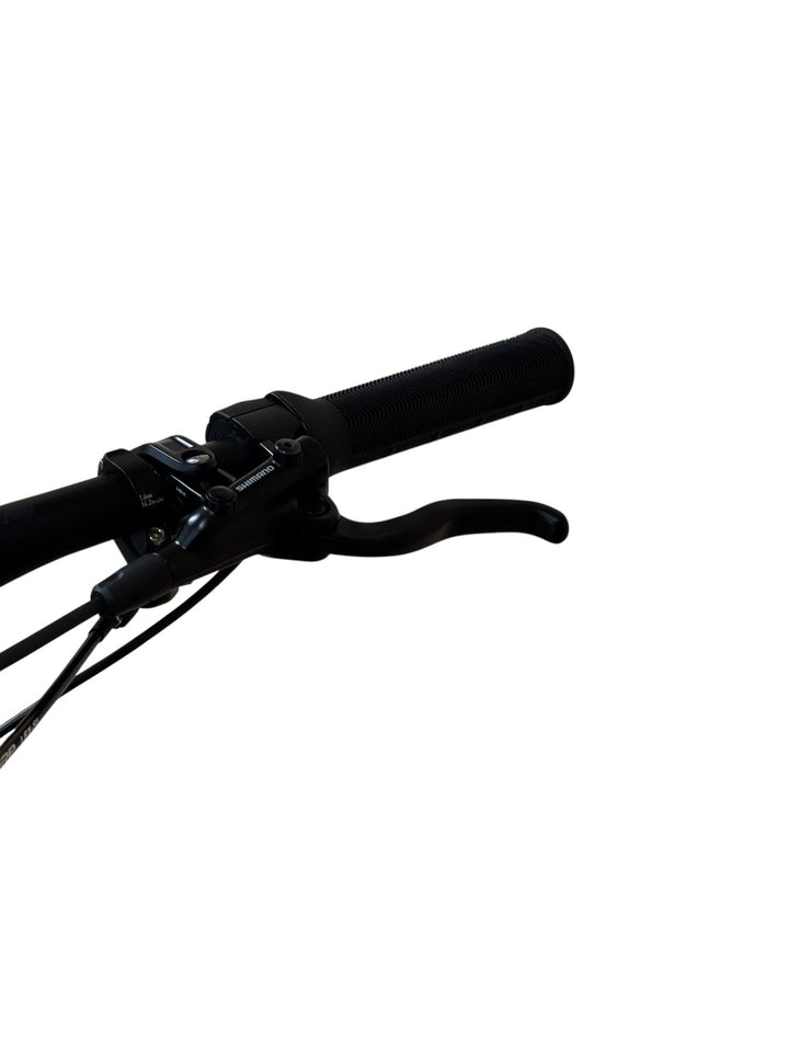 Giant Trance X Advanced E+ 2 29 inch E-Mountainbike Refurbished Gebruikte fiets 