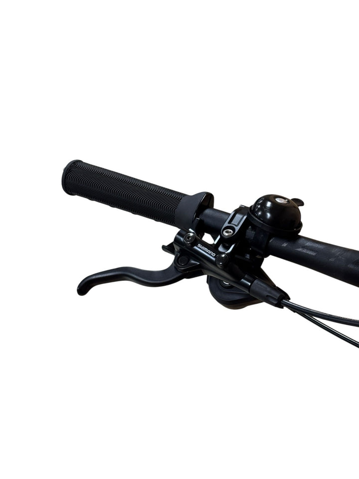 Giant Trance X Advanced E+ 2 29 inch E-Mountainbike Refurbished Gebruikte fiets 