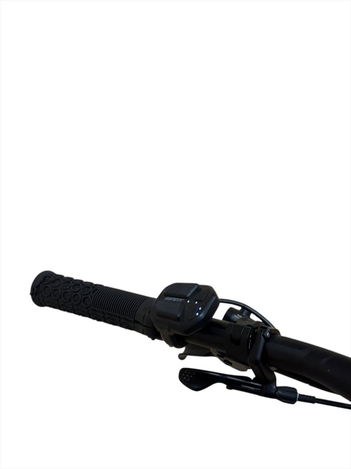 Giant Trance X E+ 2 Pro 29 inch E-Mountainbike Refurbished Gebruikte fiets